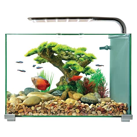 Top fin premium glass aquarium 5 gallon. Things To Know About Top fin premium glass aquarium 5 gallon. 